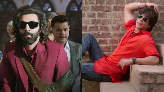 ENT Highlights: Ranbir’s Animal Sees Major Drop On 1st Wednesday; SRK's Dunki Trailer Out