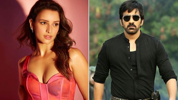 Animal Star Tripti Dimri Set To Romance Ravi Teja In His Next Film? Unveil The Real Details Here!