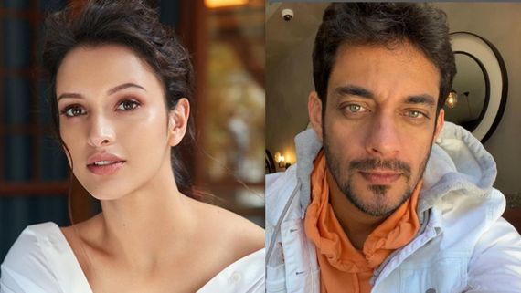 Animal Fame Triptii Dimri DATING Businessman Sam Merchant? Actress Clears The Air