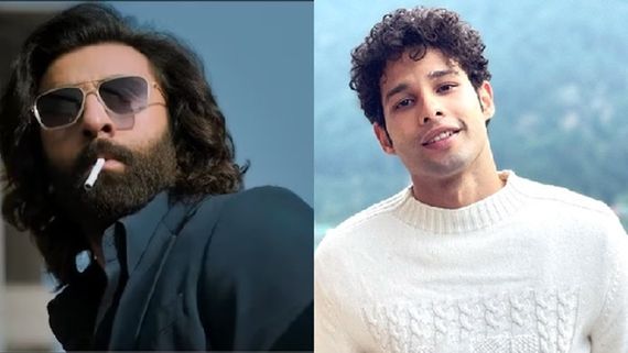 Year Ender 2023: Ranbir Kapoor To Siddhant Chaturvedi; Top 3 Jaw-Dropping Performances In December