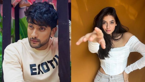 Fahmaan Khan New Show: Imlie Actor Rejects Project Opposite Shivangi Khedkar, Bags Another Star Plus Show? 