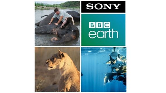 7 Shows To Watch On Sony BBC Earth As It Completes 7 Years