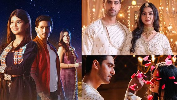 Yeh Rishta Kya Kehlata Hai: Why Was Shehzada Dhami Fired From YRKKH? Why Pratiksha Honmukhe Got Replaced?