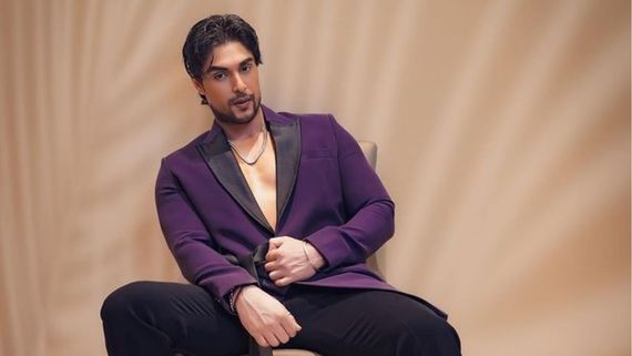 Maati Se Bandhi Dor Launch Date: Ankit Gupta's New Show On Star Plus To Replace THIS Popular Drama?