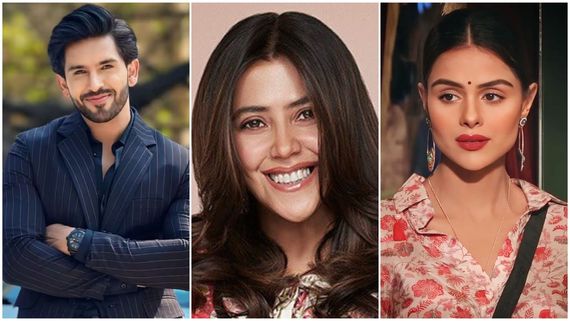 Naagin 7 Cast: Will Ekta Kapoor Sign Shehzada Dhami After Supporting Yeh Rishta Kya Kehlata Hai Makers?