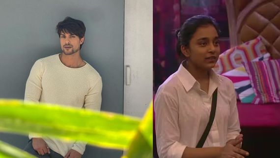 Maati Se Bandhi Dor Promo: Fans Say Ankit Gupta's Star Plus Show Has Connection With Sumbul Touqeer