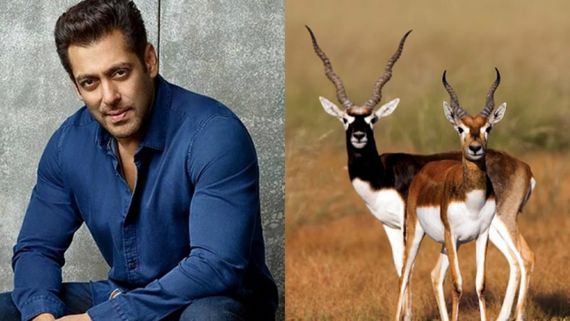 After Ex-Gf Somy Aly's Apology, Bishnoi Community To Forgive Salman Khan? 'Will Consider Only If...'
