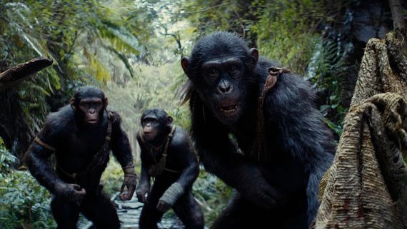 Kingdom Of The Planet Of The Apes OTT Release Date: Here’s When & Where Wes Ball’s Film Will Be Out On OTT 