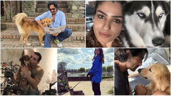 John Abraham, Mahesh Shetty, Sonakshi Sinha: Bollywood Actors with a Pawsome Passion for Pups