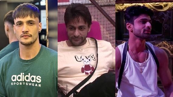 Khatron Ke Khiladi 14: Asim Riaz Shares Cryptic Post On Apology Amid Fight Rumours With Abhishek Kumar-Shalin