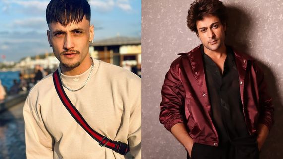 Khatron Ke Khiladi 14 Elimination Task: Asim Riaz, Shalin Bhanot & These 2 Contestants Get First Fear Ka Fanda