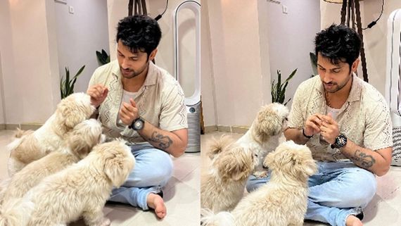 Mishri Actor Namish Taneja Calls His Furry Babies His Life's Sweet Mishri