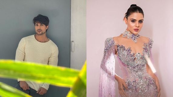 Priyanka Chahar Choudhary Oozes Swag In SEXY Dress, Ankit Gupta's Reaction Is Unmissable