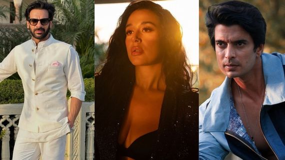 Khatron Ke Khiladi 14 Top 3 Finalists Name: Here's Who Will Win Rohit Shetty Led Adventurous Show