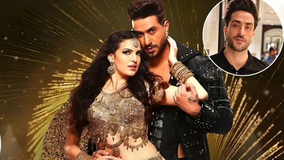 Why Did Aly Goni & Natasa Stankovic Break Up? Big HINT Dropped: 'Usne Mujhe Bola Ki...'