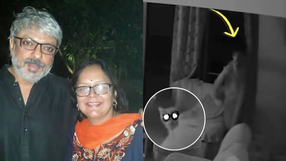 'That's Pawsome': Marathi Director's Pet Cat's Viral Burglar Busting Video Leaves Internet In Awe | WATCH