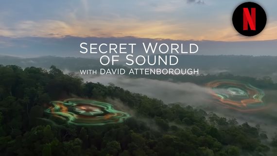 'Secret World Of Sound With David Attenborough' Netflix Nature Documentary Trailer