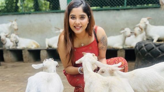 Bigg Boss Kannada 11 Contestant: Who Is  Who Is Aishwarya Shindogi? Nagini 2 Actress Joins BBK 11 House