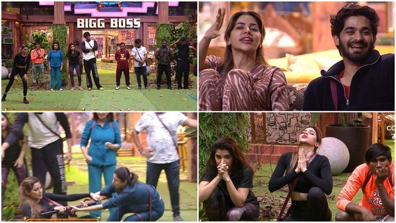 Bigg Boss Marathi 5 Day 51 (September 16) Preview: Which Team Will Win Jungle Raj Task? Big FIGHTS In House