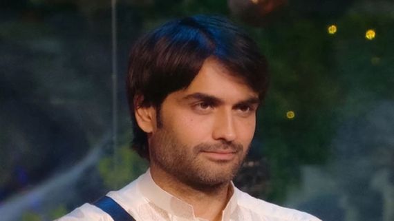 Bigg Boss 18 TRP First Week: Vivian Dsena's Entry Boosts Ratings Of Salman Khan's Show. Will He Win BB 18?