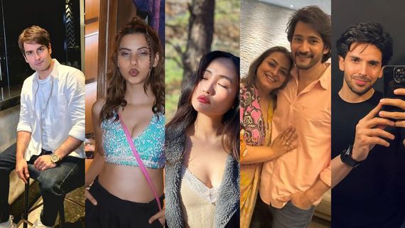 Bigg Boss 18 FULL Contestants List: Nia, Alice Kaushik, Vivian Dsena, Shehzada Dhami, Chum Darang & MORE