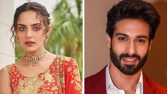 Deewaniyat Cast, Launch Date: Himanshi Parashar Joins Her Teri Meri Dooriyan Co-Star Vijayendra Kumeria? DEETS