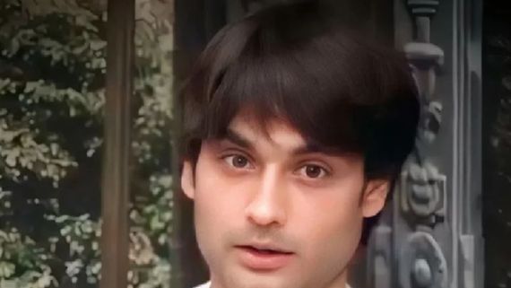 Bigg Boss 18 Contestants Name: Vivian Dsena Takes Over X (Twitter), Trending Since His Entry