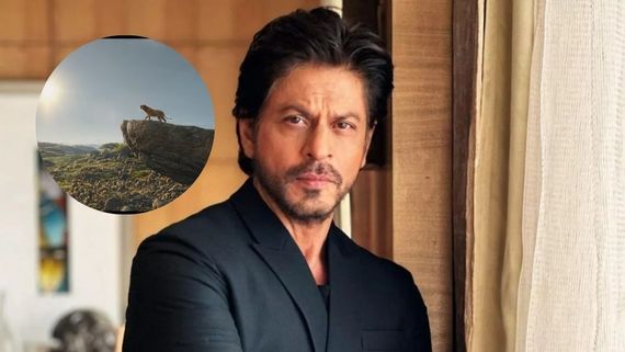 Waiting For Mufasa: The Lion King Release In India? Similarities Between Shah Rukh Khan & Mufasa To Know