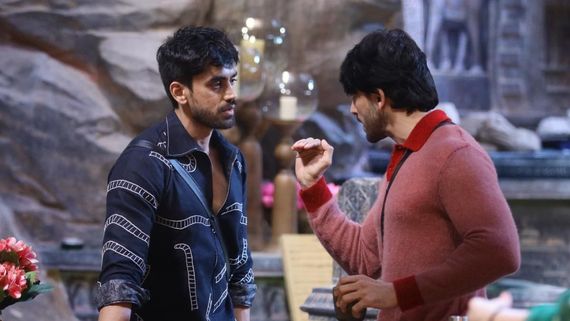 Bigg Boss 18 Voting Results Closing Trends Week 4: Who Is Likely To Go Home In The Fourth Week? UPDATE