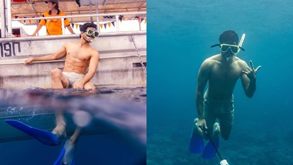 Ishaan Khatter Explores Australia's Wildlife With Scuba Diving And Koala Encounters- PICS & Video