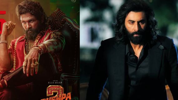 Pushpa 2 Box Office Day 8 (Hindi): Allu Arjun’s Film Crosses 425Cr; Beats Animal & Jawan To Create THIS Record