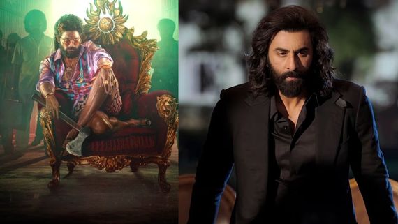 Pushpa 2 Box Office Day 12 (Hindi): Allu Arjun’s Film Sees 60% Dip But Crosses Lifetime Collection Of Animal