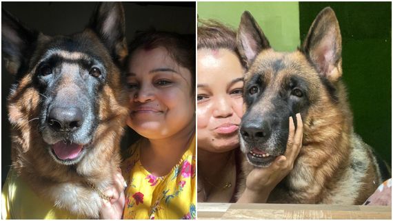 Love Comes in Many Forms: Josh Celebrates The Unbreakable Bond Between Creators And Their Pets