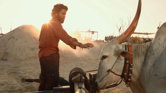 Thandel Box Office Collection Day 4 Prediction: Will Naga Chaitanya's Film Dip After A STUNNING WEEKEND?