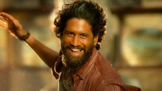 Thandel Box Office Collection Day 13 Early Updates: Naga Chaitanya Film Inches Closer To Rs. 60 Cr, Earns.....