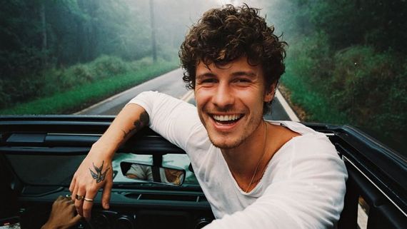 Lollapalooza 2025: From Cheering Team India To Singing Senorita, Here's Shawn Mendes' Performance Highlights