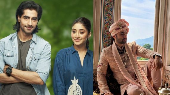 Bade Achhe Lagte Hain Naya Season Cast: Shaheer Sheikh's Co-star Joins Harshad Chopda's Show. Her ROLE Is...