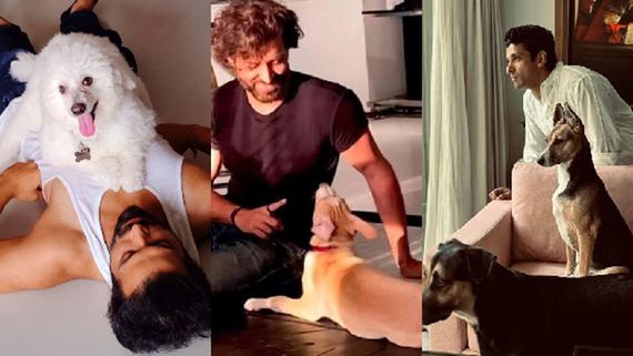 Stars Who Chose to Adopt, Not Shop – And Gave Dogs a Forever Home