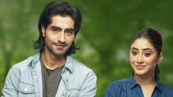Bade Achhe Lagte Hain Naya Season Cast: What Is The Age Difference Between Harshad Chopda & Shivangi Joshi?