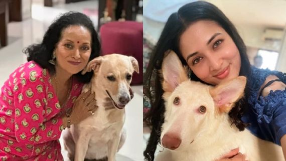 On National Pet Day 2025 TV Actors Find Friendship And Healing In Their Pets!