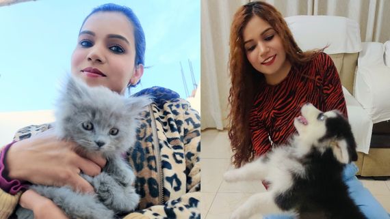 Paws & Love: Josh Creator Anni Abassi's Heartwarming Bond with Her Pets