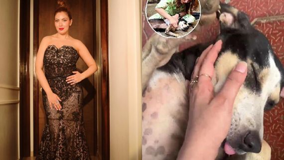 Munmun Dutta’s Compassionate Rescue Saves Street Dog From Near-Death, Now Fully Healed
