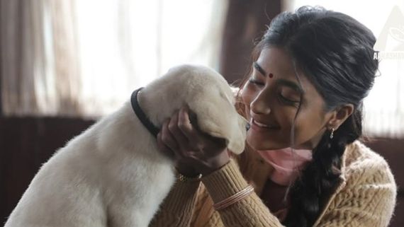 Retro: Pooja Hegde's Back-To-Back Flop Streak With Star Heroes Becomes A Hot Topic; Twitterati REACTS