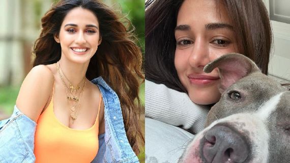 The Real Disha Patani: Behind The Abs, There’s A Hardcore Anime Nerd And Animal Lover
