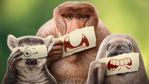 UNDERDOGS, Narrated By Ryan Reynolds, Premieres On THIS Date On National Geographic 