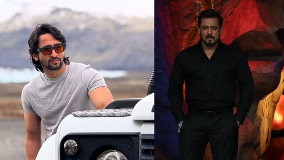 Bigg Boss 19 Exclusive: Is Shaheer Sheikh's Onscreen Mother Participating In Salman's BB19? Here's The Truth
