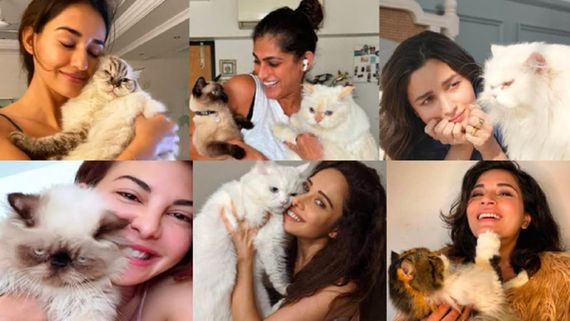International Cat Day Special: Bollywood’s Beloved Cat Moms 