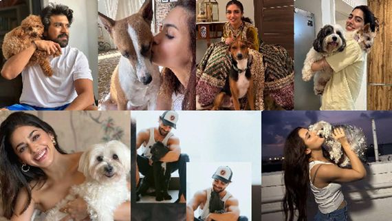International Dog Day: Celebrated Actors Who Are Also Proud Dog Parents