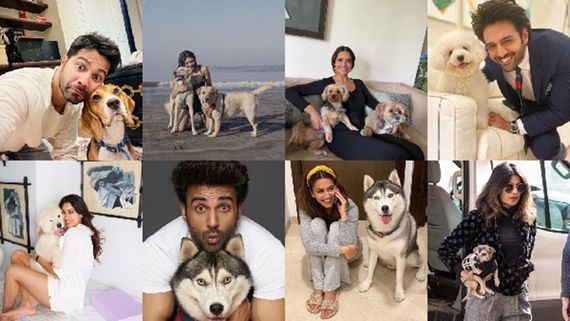 Kartik Aaryan To Priyanka Chopra: Celebrating International Dog Day with Our Furry Friends 