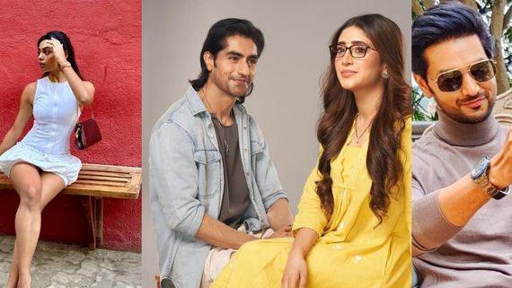 Bade Achhe Lagte Hain 4: Shakti Arora's Co-star To Enter As Harshad Chopda's (Rishabh) Girlfriend